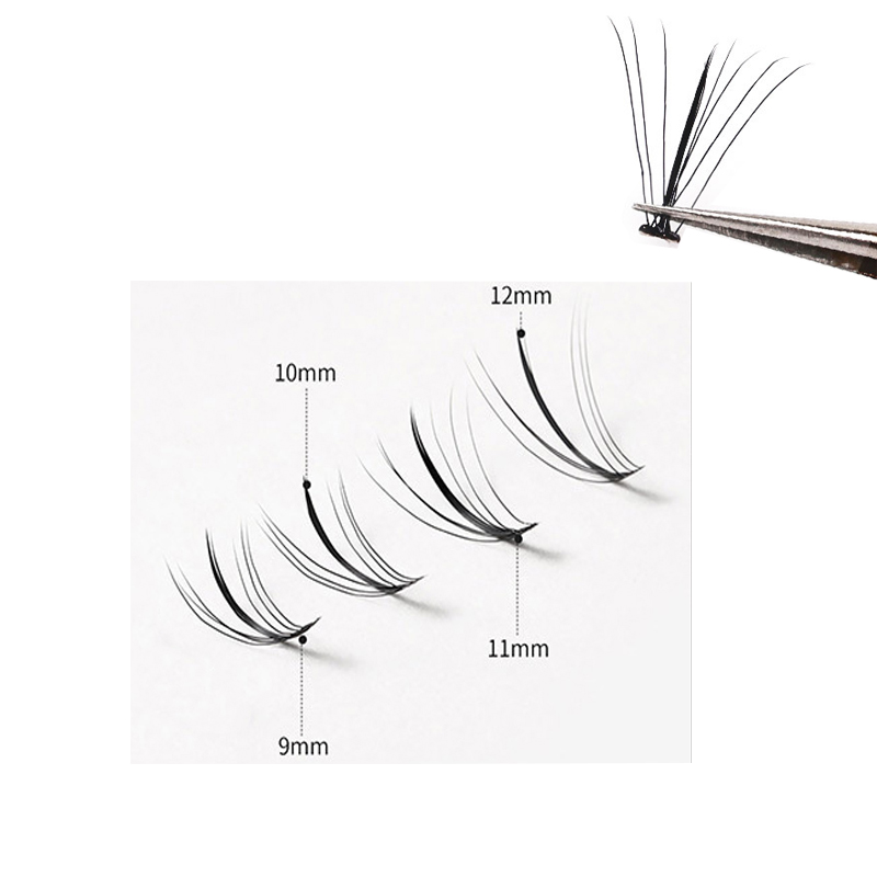 Anlinnet NEW Japanese And Kore – обзор и цена Eyelash Extension Japanese Style