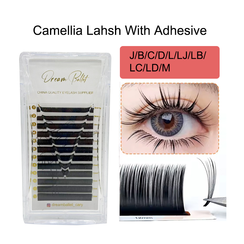 dream ballet Camellia Lashes w – обзор и цена Eyelash Extension Review