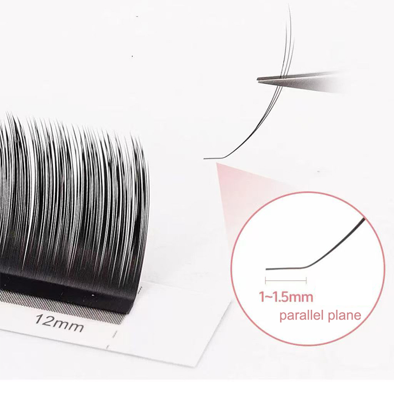 dream ballet Camellia Lashes w – обзор и цена Eyelash Extension Review
